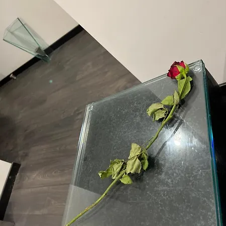 Cinecitta Luxury Bed & Breakfast