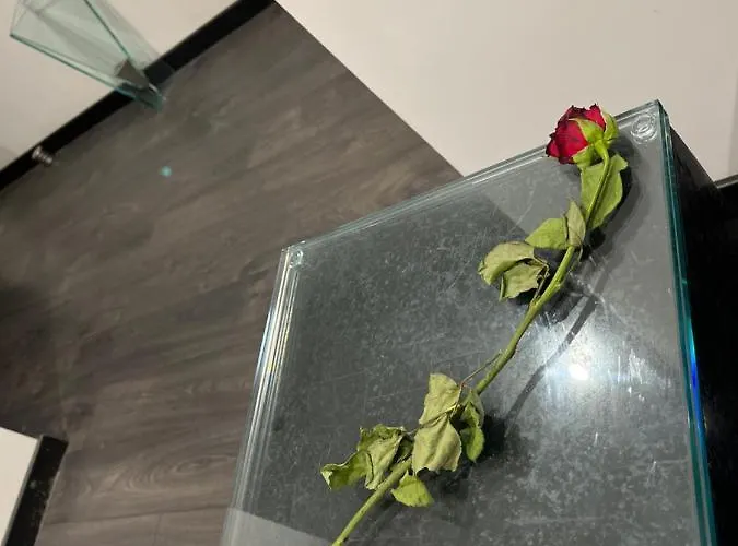 Cinecitta Luxury Bed & Breakfast